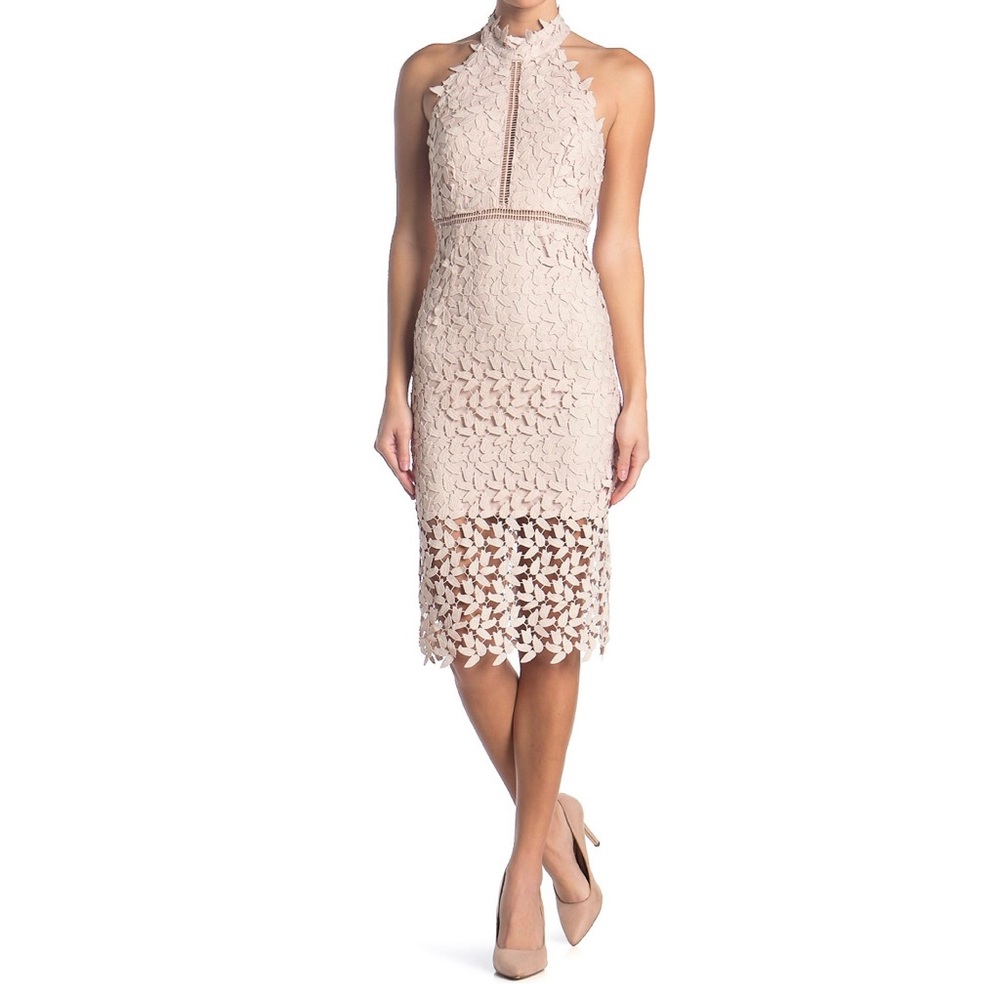 Bardot Gemma Halter Lace Sheath Dress in Old Prosecco Color